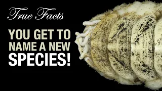 True Facts: New Species Naming Competition