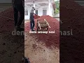 Download Lagu bekerja demi sesuap nasi