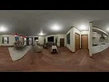 OIIAOIIA Cat in 360/VR