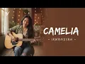 Lagu Camelia – Irwansyah | Acoustic AI Cover by Venara Studio