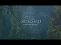 Deeply Restful Kelp Forest | Underwater sounds and beautiful visuals | fish and sharks!