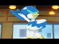 Quaxly evolves