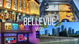 Bellevue WA Vlog Best Hot Pot Ramen H-Mart Snack Haul
