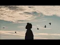 Download Lagu Alban Ramosaj - Lithium (Official Visualizer)