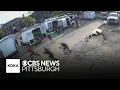Multiple workers detained after agents storm worksite in Pittsburgh shows