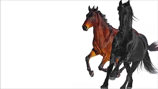 Download Lil Nas X - Old Town Road (feat. Billy Ray Cyrus) slowed down MP3
