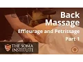 General Back Protocol Beginning Effleurage and Petrissage Techniques Part 1