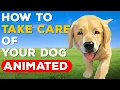 Let s Turn Scripts into Animated Explainer s with ONE AI Tool Step by Step