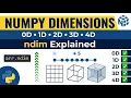 Part 07 - NumPy Multidimensional Arrays Explained 0D 1D 2D 3D 4D ndim