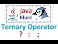 Conditinal Ternary Operator - ICSE Computer Applications Java for Class 10