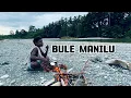 Download Lagu Bule manilu (Kula hits)