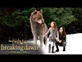 Download Lagu 'Bella's New Powers \u0026 Renesmee's Fast Aging' Scene | The Twilight Saga: Breaking Dawn - Part 2