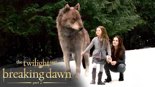 bellas new powers u0026 renesmees fast aging scene the twilight saga breaking dawn part 2