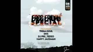 dns u0026 tribal soul chief ft lee nathi u0026 seemore 