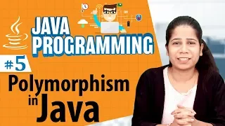 Polymorphism in Java - Introduction to Object Oriented Programming