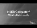 NEBioCalculator - Using the Ligation module
