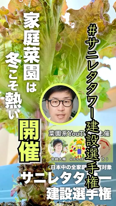 サニレタタワー建設選手権が始まるよ #家庭菜園 #プランター栽培 #サニレタタワー建設選手権