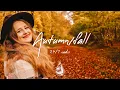 Download Lagu Autumn 24/7 Radio 🍂 chill indie folk \u0026 acoustic music for fall | alexrainbirdRadio