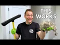 Pet Cleaning Products That Are Actually Worth Your Money