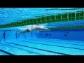 Arno Kamminga Breaststroke UW Side View