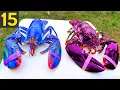 Download Lagu Top 15 MOST RARE LOBSTERS - Giant Rainbow Lobsters