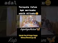 Download Lagu Episode Paling Di Tunggu || Alur Film Kupu kupu Malam #shorts