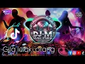 Download Lagu DJ DM Music Studio Gila Lelaki Orang Version Remix 2025 Viral di TikTok Dangdut Dj Remix koplo