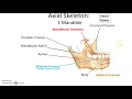 APHYS 34A Chapter 8 Skeletal System Axial and Appendicular Skeleton Part 2