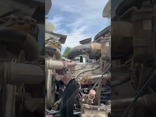 View Video
