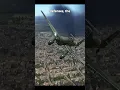 Download Lagu The Ju 87 Stuka During the Warsaw Uprising