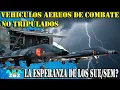 Download Lagu 🇦🇷 👉 LOS SUE/SEM COMO VEHICULOS AEREOS DE COMBATE NO TRIPULADOS, ANALISIS.