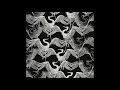 Birds of Mind - Ankara (NU Remix)