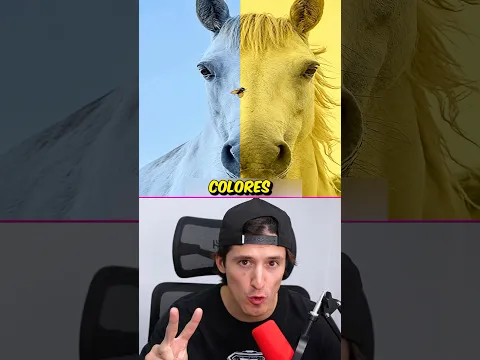 ESTA IMAGEN TIENE 2 o 1 COLOR? 😱