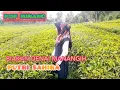 Download Lagu BIAKAN DENAI MANANGIH {Silva Hayati} Cover PUTRI SAHIRA
