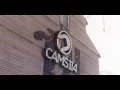 Download Lagu DareCams: Episode 114