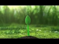 Download Lagu natural intro ( no copyright )