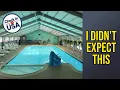 Seahawk Motel - I Didn t Expect This Virginia Beach VA United States