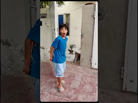 Saim ke peche tu monkey lag gye #shorts #short #shortvideo #viral #viralvideo