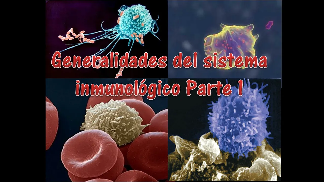 Immunology-Generalidades del sistema inmunológico parte 1