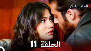 Arabic Dubbed Large Version 11 النسخة الطويلة الحلقة 