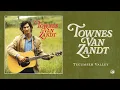 Townes Van Zandt - Tecumseh Valley (Official Audio)