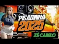 Download Lagu Piseiro forró 2025 Zé cabelo e seus teclados seresta selecionada