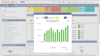 NetSuite   Pronto para o Futuro