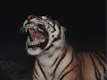 miguel | perderme (slowed)