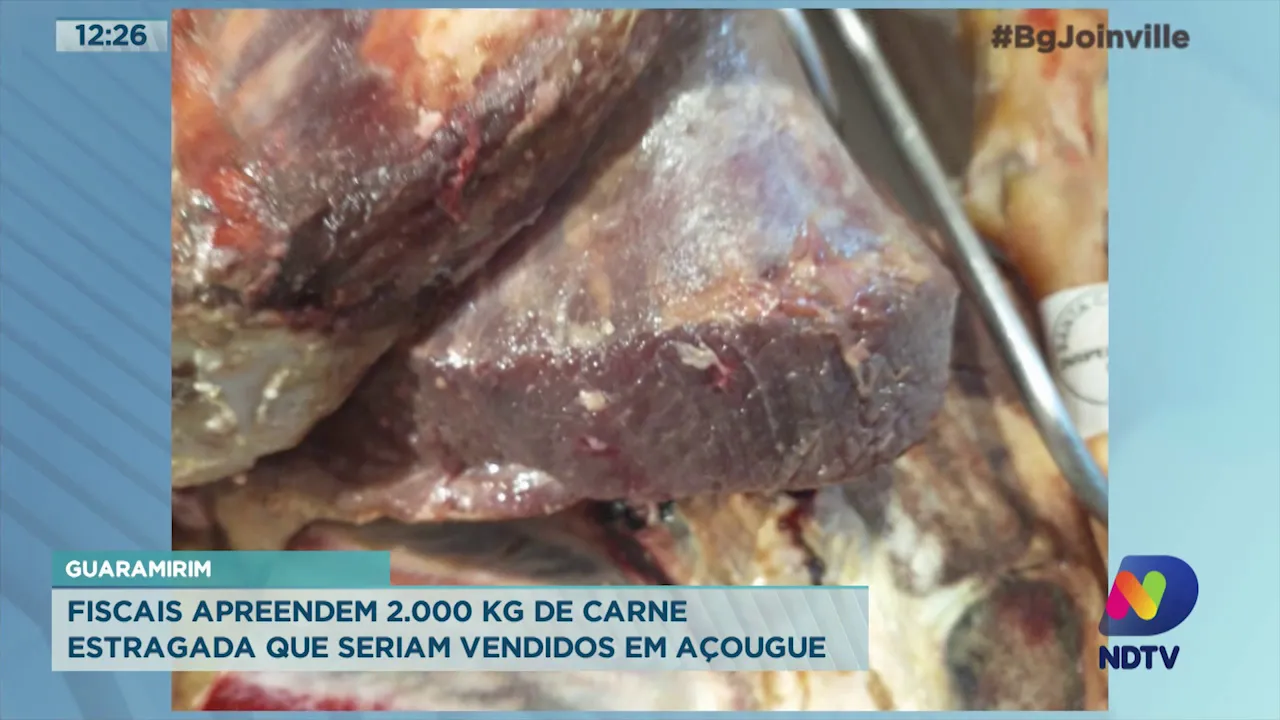 Guaramirim: Fiscais apreendem 2.000 Kg de carne estragada que seriam vendidos em açougue