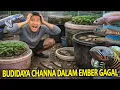 Lagu BUDIDAYA CHANNA DALAM EMBERKU GAGAL TOTAL! TERNYATA BANYAK YANG LONCAT DAN BERANTEM!