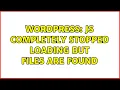 Wordpress JS completely stopped loading but Files are found 2 Solutions