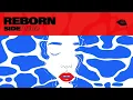 Reborn (Instrumental) - SIDEPIECE
