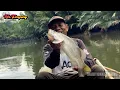 Download Lagu HANTUNYA KAKAP‼️HIDUP KAKAP GAK TENANG JIKA BELIAU PAKAI PANCING KAYU