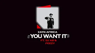 zayn africa you want it feat feezy u0026 dj ab 